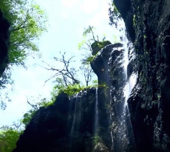 青山綠水，白龍江畔江畔息白鷺，兩岸綠橄欖入眼的都是純樸自然枝上花開，春來水暖魚蝦戲水，鳥語花香心中充滿著舒暢之感祥宇生態(tài)產(chǎn)業(yè)園，位于隴南市武..